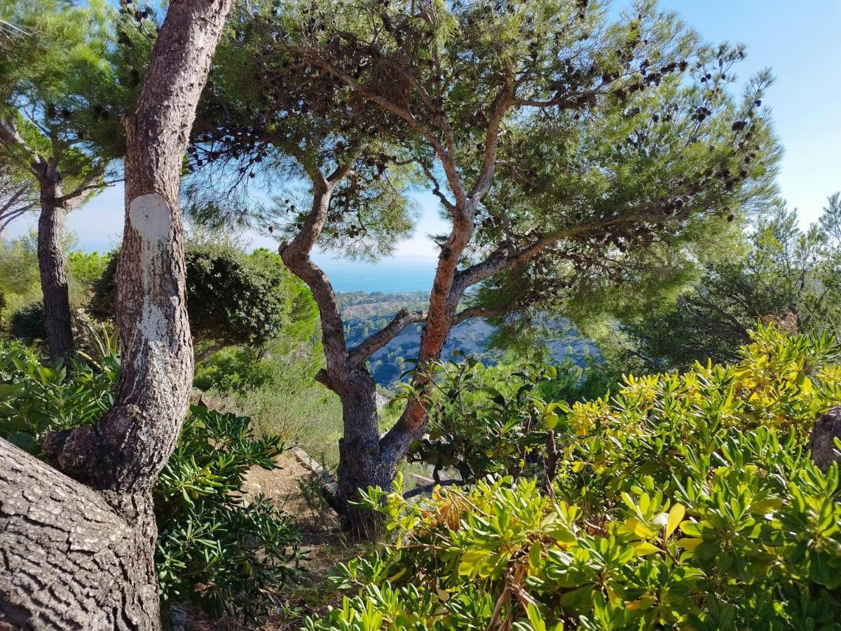 Sweet Calanque - Host Provence Apartment Cassis Luaran gambar